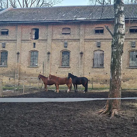 アパート W Centrum Z Wanna Z Hydromasazem *